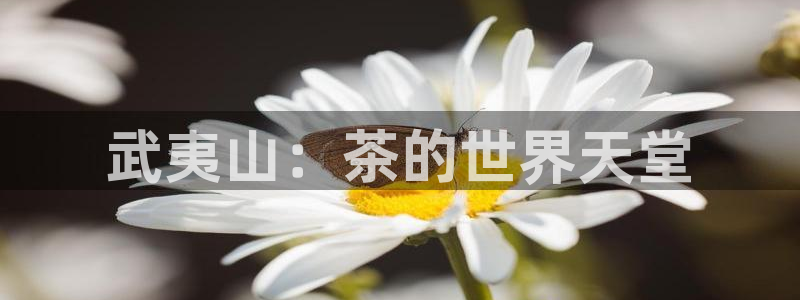 金年会入口网站