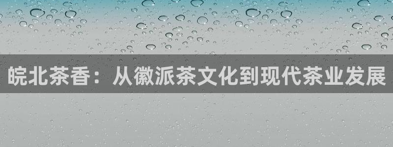 金年会体育平台官网