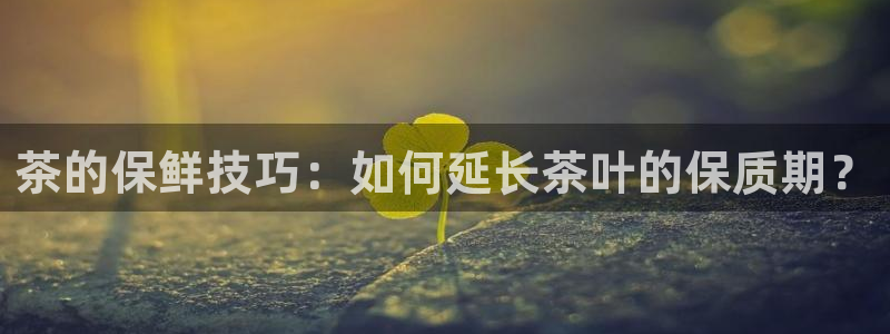 金年会是赌博的吗